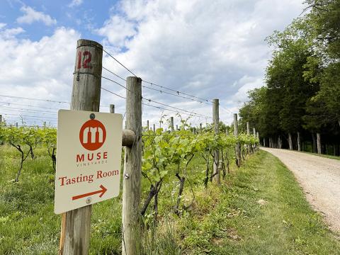 Directional sign to the Muse Vineyards tasting room