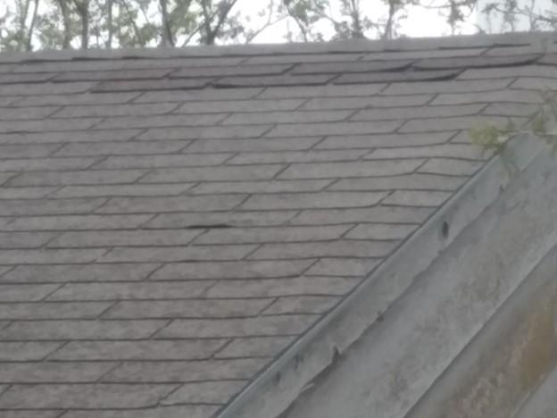 Old roof with curling shingles