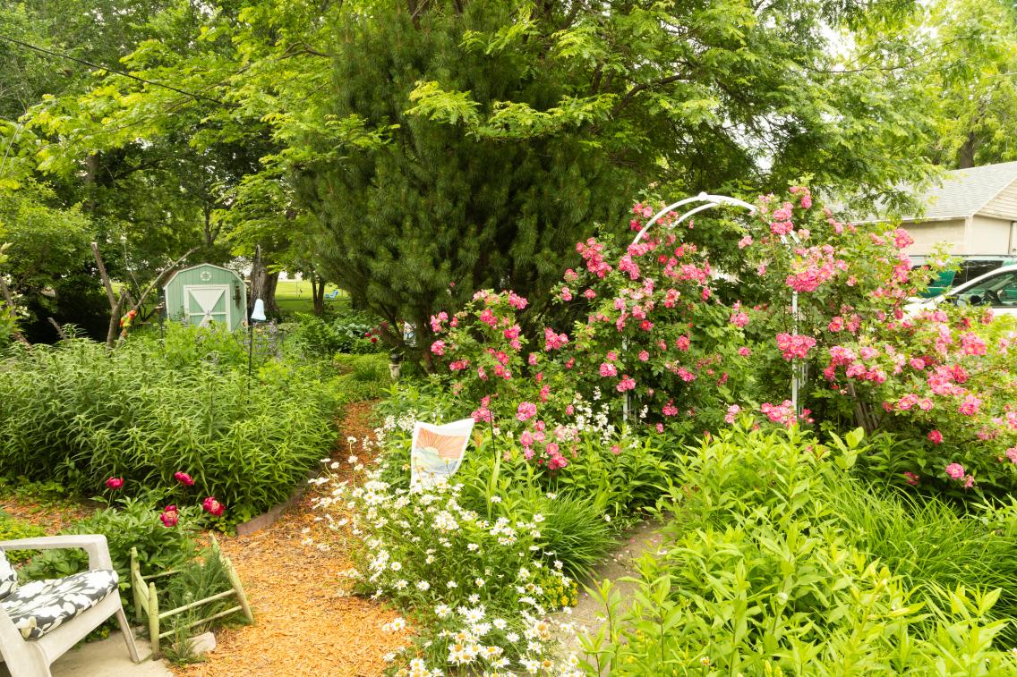 Jolene's garden full of flowers