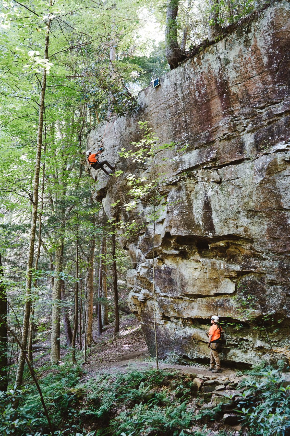 Wolfe County Search & Rescue Team rappelling