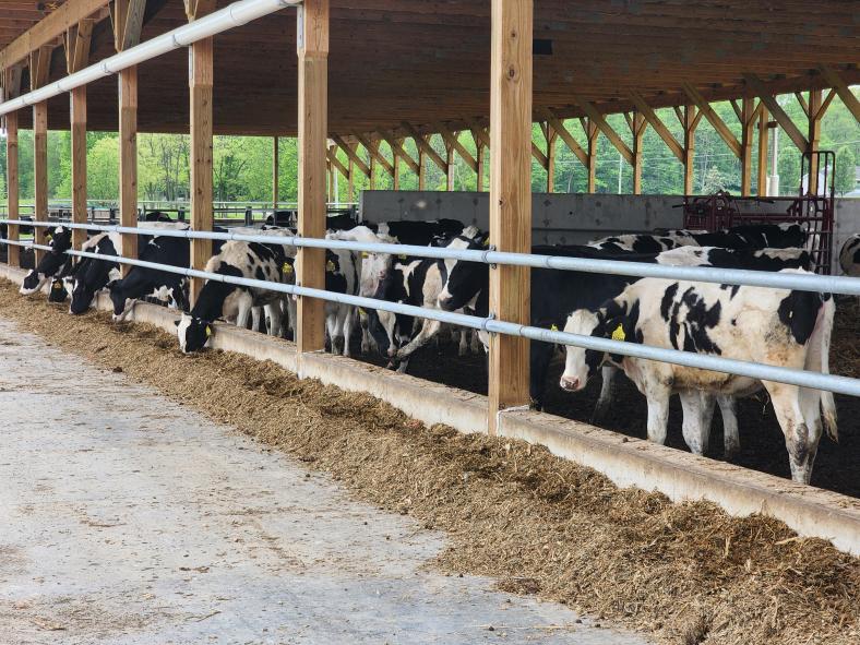 The Marsh Run Farm in Waynesboro, Pa., decided to pivot their farming operation from boarding horses to dairy and cow breeding services. Like many farmers they decided to invest in his farm through the Rural Energy for America program. The project is expected to save the farm approximately $5,500 per year and will replace 50,148 kWh per year, enough to power four homes in Franklin County.