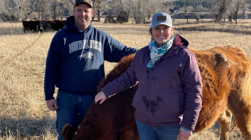 Ranchers in pasture with their cows