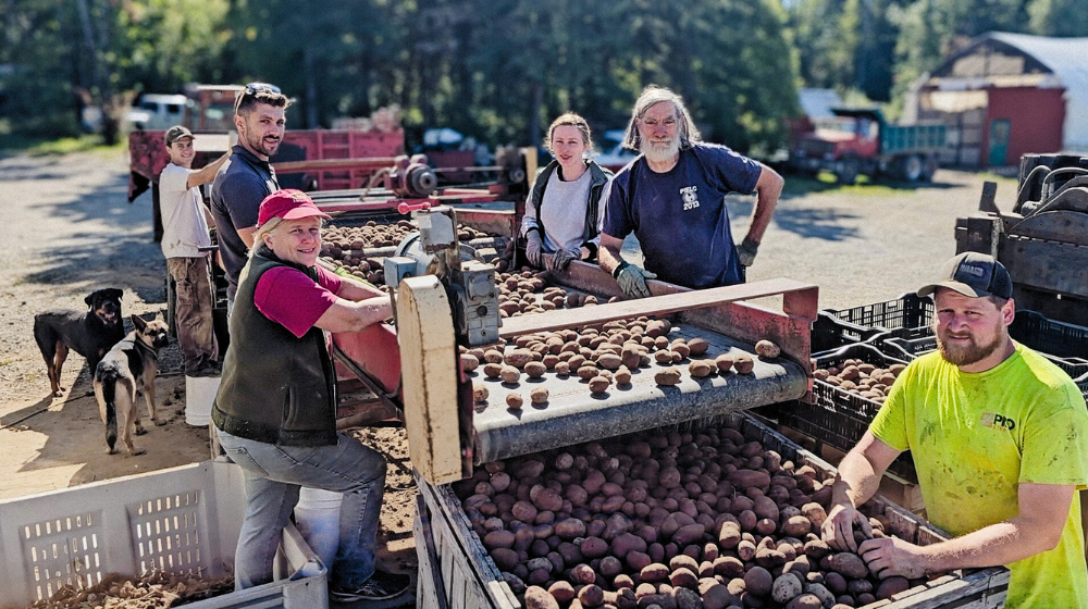 The Gerritsen family of Wood Prairie farm is shown gathered around potato sorting equipment.