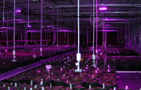 USDA funds for green house lighting