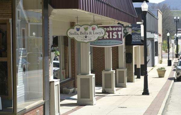 Waynesboro downtown street view featuring business signs