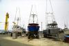 Port Orford Sustainable Seafood helps local, small-town fishers market and sell their products.