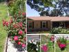 Cagle Family Home