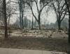 Rose Court Apartments in Phoenix, Ore., burned down during the 2020 Oregon wildfires.